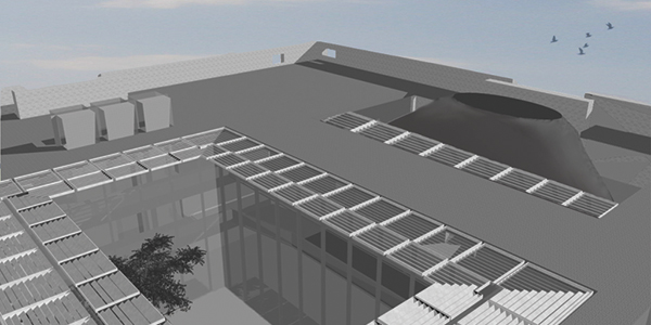 Roof-shot-030310-600